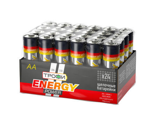 Батарейки Трофи LR6-24 bulk ENERGY POWER Alkaline