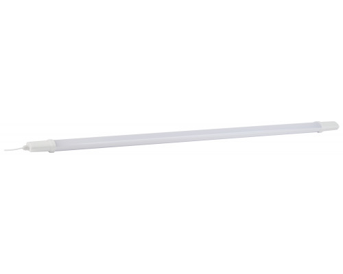 Линейный светодиодный светильник ЭРА SPP-3-20-6K-M 20Вт 6500К 1600Лм IP65 615х60х35 матовый