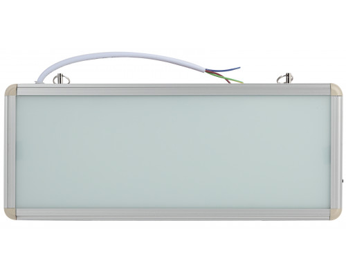 Аварийный светильник ЭРА SSA-101-0-20 светодиодный 3ч 3Вт без текста стикер 358х145 мм