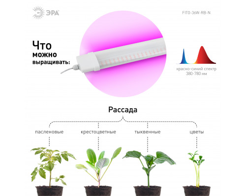 Светильник для растений, фитолампа светодиодная линейная ЭРА FITO-36W-RB-N красно-синего спектра 36 Вт