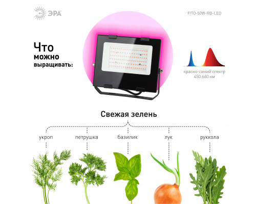 Фитопрожектор для растений светодиодный ЭРА FITO-50W-RB-LED для цветения и плодоношения красно-синего спектра 50 Вт