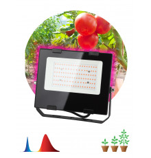 Фитопрожектор для растений светодиодный ЭРА FITO-50W-RB-LED для цветения и плодоношения красно-синего спектра 50 Вт
