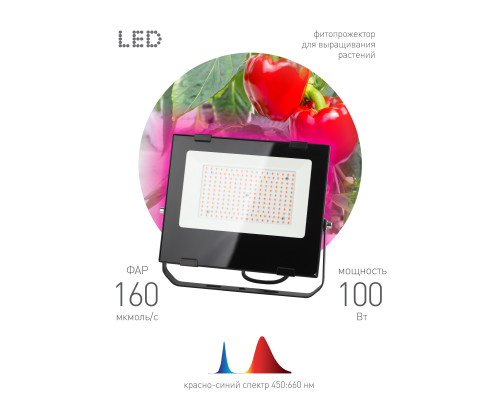 Фитопрожектор для растений светодиодный ЭРА FITO-100W-RB-LED для цветения и плодоношения красно-синего спектра 100 Вт