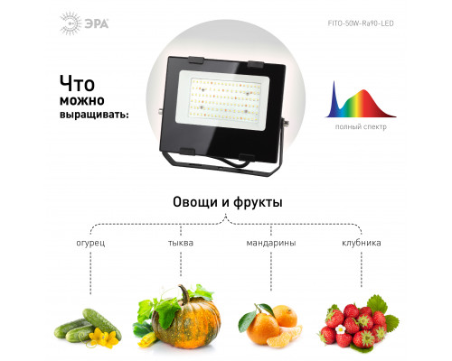 Фитопрожектор для растений светодиодный ЭРА FITO-50W-Ra90-LED для цветения и плодоношения полного спектра 50 Вт