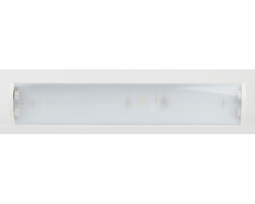 Светильник ЭРА ДПО 11-2х10-001 с рассеивателем IP40 под 2 светодиодные лампы T8 2*G13 LED 600мм
