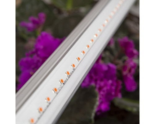 Светильник для растений, фитолампа светодиодная линейная ЭРА FITO-14W-T5-Ra90 полного спектра 14 Вт Т5