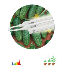 Модульный светильник для растений ЭРА FITO-3х10W-LINE-Ra90 полного спектра 30 Вт