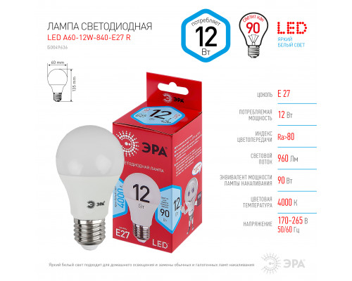 Лампочка светодиодная ЭРА RED LINE LED A60-12W-840-E27 R Е27 / E27 12 Вт груша нейтральный белый свет