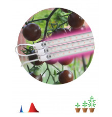 Модульный светильник для растений ЭРА FITO-3х10W-LINE-RB90 красно-синего спектра 30 Вт