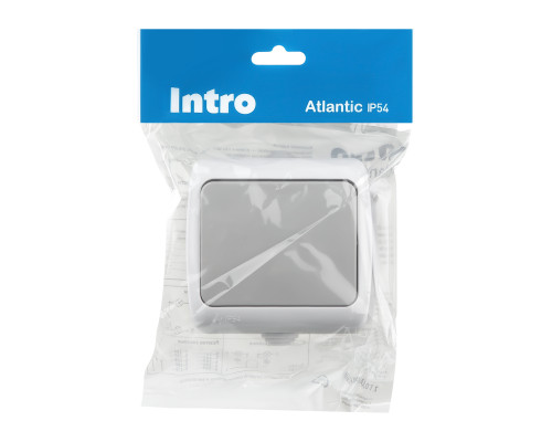Выключатель Intro Atlantic 5-101-03 10А-250В, IP54, открытой установки, серый