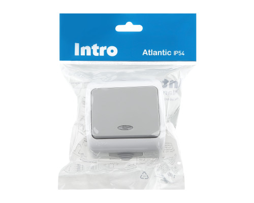 Выключатель Intro Atlantic 5-102-03 с подсветкой, 10А-250В, IP54, открытой установки, серый