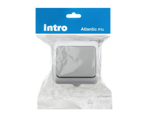 Переключатель Intro Atlantic 5-103-03 10А-250В, IP54, открытой установки, серый