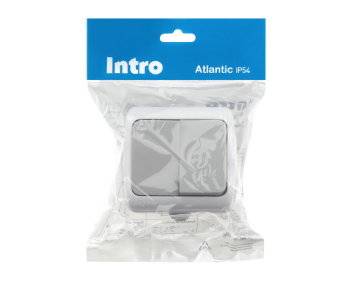 Выключатель Intro Atlantic 5-104-03 двойной, 10А-250В, IP54, открытой установки, серый