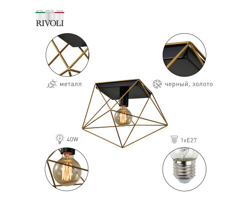 Светильник потолочный Rivoli Roxana 4097-201 1 х Е27 40 Вт дизайн для натяжных потолков