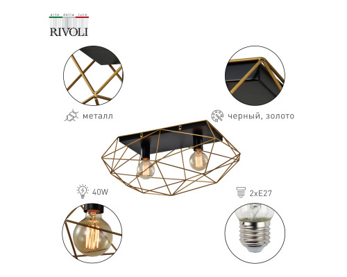 Светильник потолочный Rivoli Roxana 4097-312 2 х Е27 40 Вт дизайн для натяжных потолков