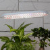 Светильник для растений ЭРА FITO-25W-QLED-FLY подвесной полного спектра 25 Вт