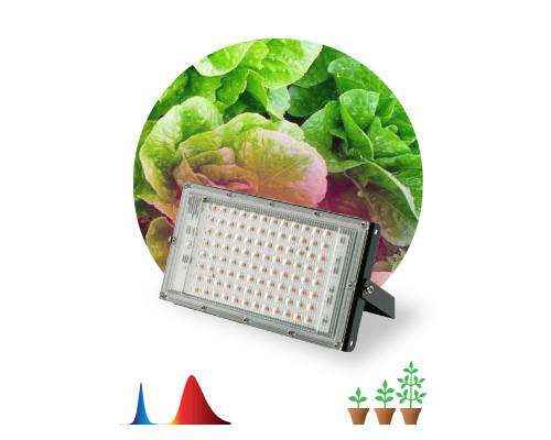 Фитопрожектор для растений светодиодный ЭРА FITO-80W-RB-LED-Y красно-синего спектра