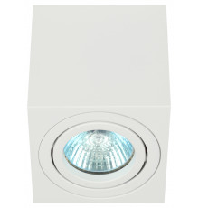 Светильник настенно-потолочный спот ЭРА OL22 WH MR16/GU10, белый, поворотный