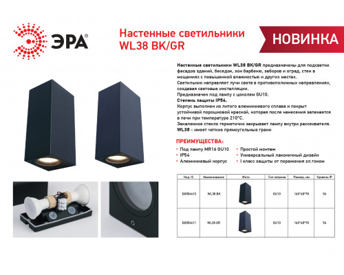 Декоративная подсветка ЭРА WL38 BK MR16/GU10 (2 шт.), черный, для интерьера, фасадов зданий