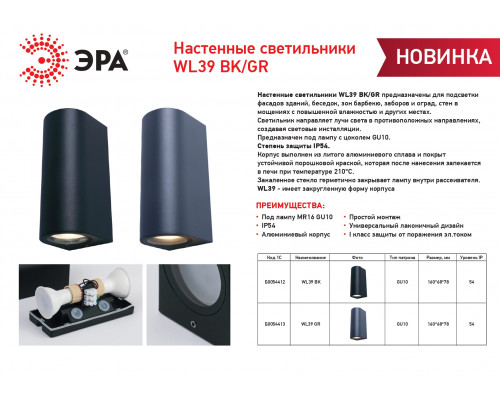 Декоративная подсветка ЭРА WL39 BK MR16/GU10 (2 шт.), черный, для интерьера, фасадов зданий