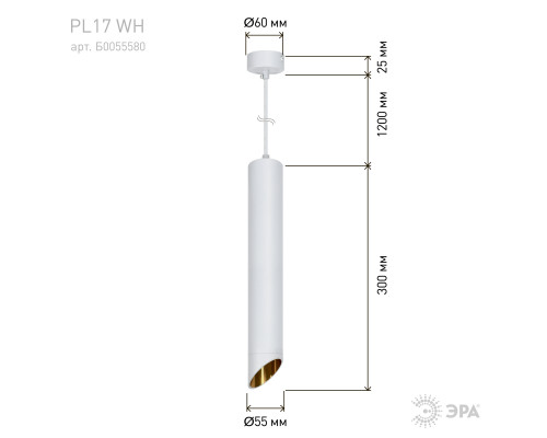 Светильник подвесной (подвес) ЭРА PL 17 WH MR16/GU10, белый, потолочный, цилиндр