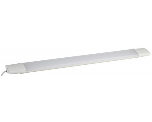 Линейный светодиодный светильник ЭРА SPP-3-20-4K-M 20Вт 4000К 1600Лм IP65 615х60х35 матовый