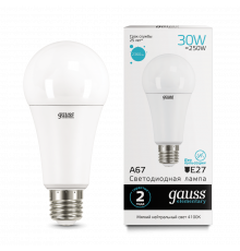 Лампа Gauss LED Elementary A67 30W E27 4100K