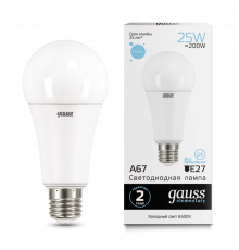 Лампа Gauss LED Elementary A67 25W E27 6500K