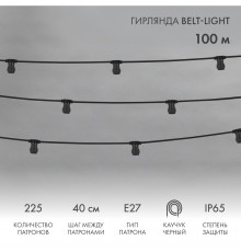 Гирлянда Belt-Light 2 жилы, 100м, шаг 40см, 225 патронов E27, IP65, черный провод NEON-NIGHT    Предлагаем 331-345 или 331-346 (выгода 30%)